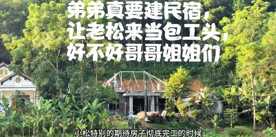 小松直播时又扯起建民宿的事儿，还跟粉丝征求意见：“弟弟真要建民宿，让老松来当包工