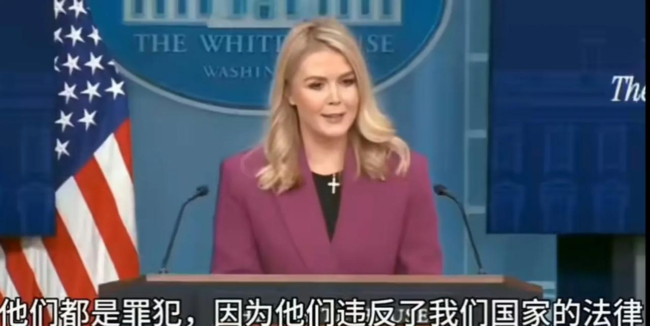 美国新任白宫发言人，发表了惊人言论，这下那些非法移民的人该慌神了！
      