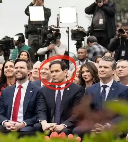 卢比奥落魄现状引人深思











美国政坛，真是一个神奇的地方！曾经