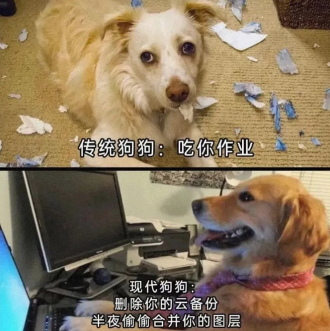 现代的狗狗什么样？