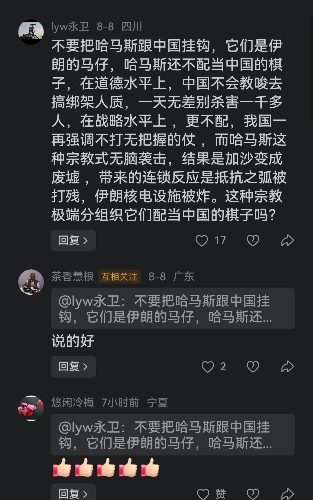 这位网友的话真是人间清醒:不要把哈马斯跟中国挂钩，它们是伊朗的马仔，哈马斯还不配