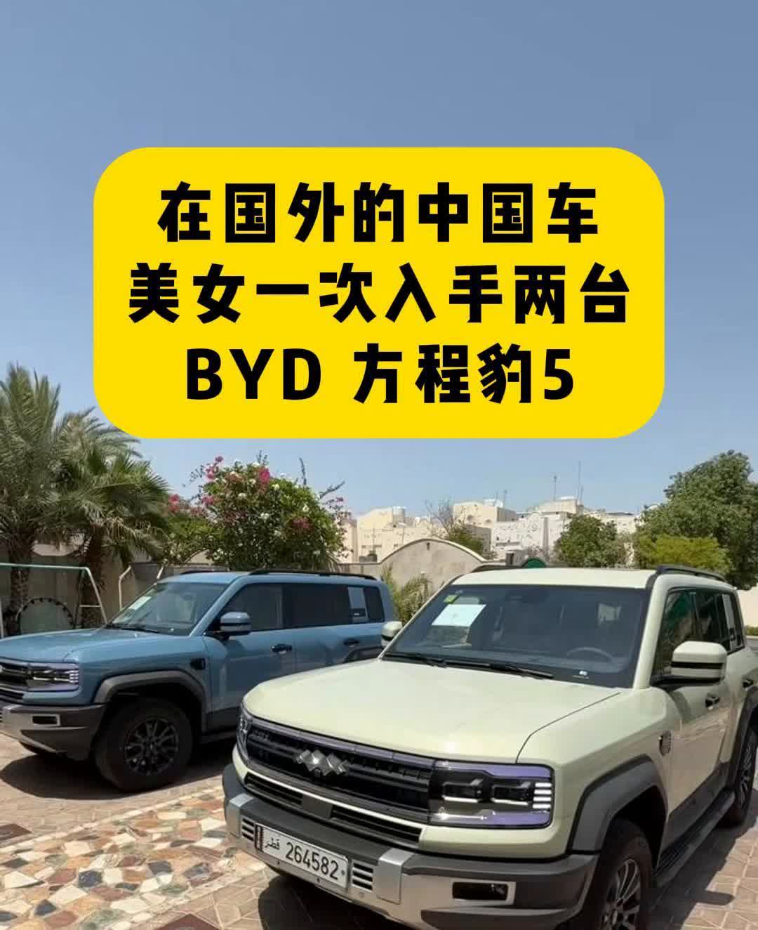 在国外的中国车，美女一次入手两台BYD方程豹5。