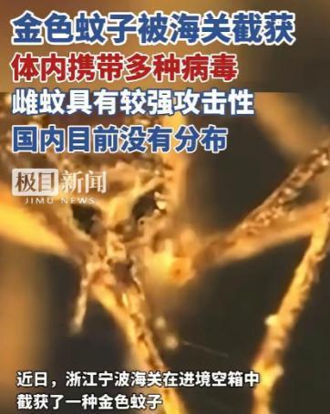 又是美国，又是病毒，这次不是实验室，是一整船“带毒蚊子”直接开到中国宁波！
麻烦