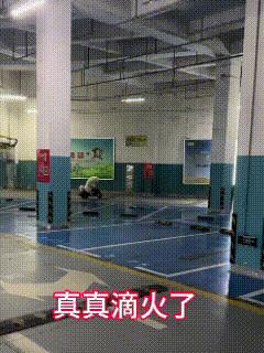 真没见过，第一次见！
好样的布鲁斯居然会刹车会拐弯！
它是那种，听话的，认真的，