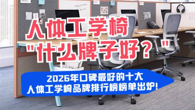 人体工学椅什么牌子好？2026年口碑最好的十大人体工学椅品牌排行榜榜单出炉！