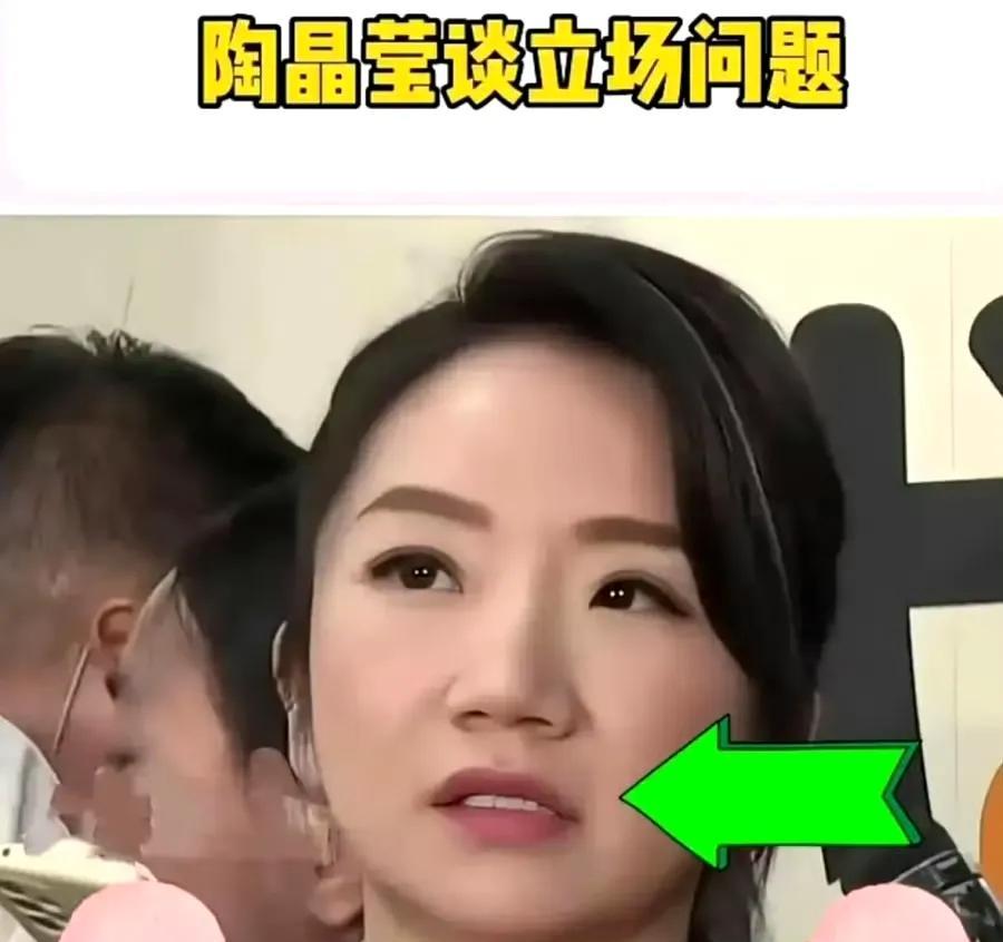 范玮琪被淘汰，陶晶莹可以放心了
陶晶莹因立场不坚定，既想要保留自己在台湾的利益，