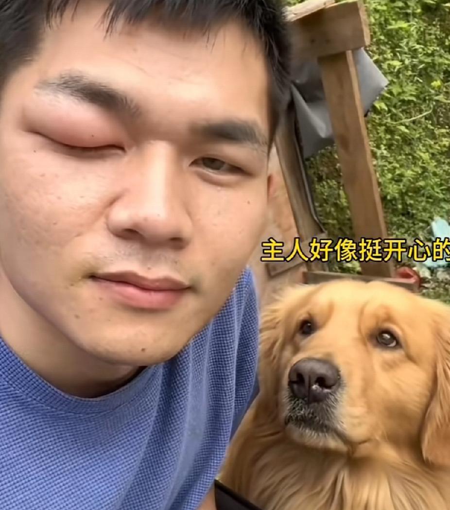 自己的狗子自己宠！男子正在干活，自家金毛嘴里叼着蜂窝鬼鬼祟祟的跑过来，男子扭头一