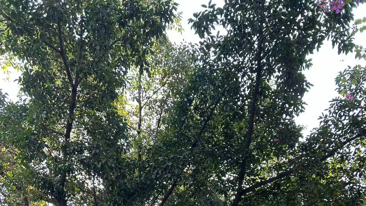 很多时候可能是天赋的差异