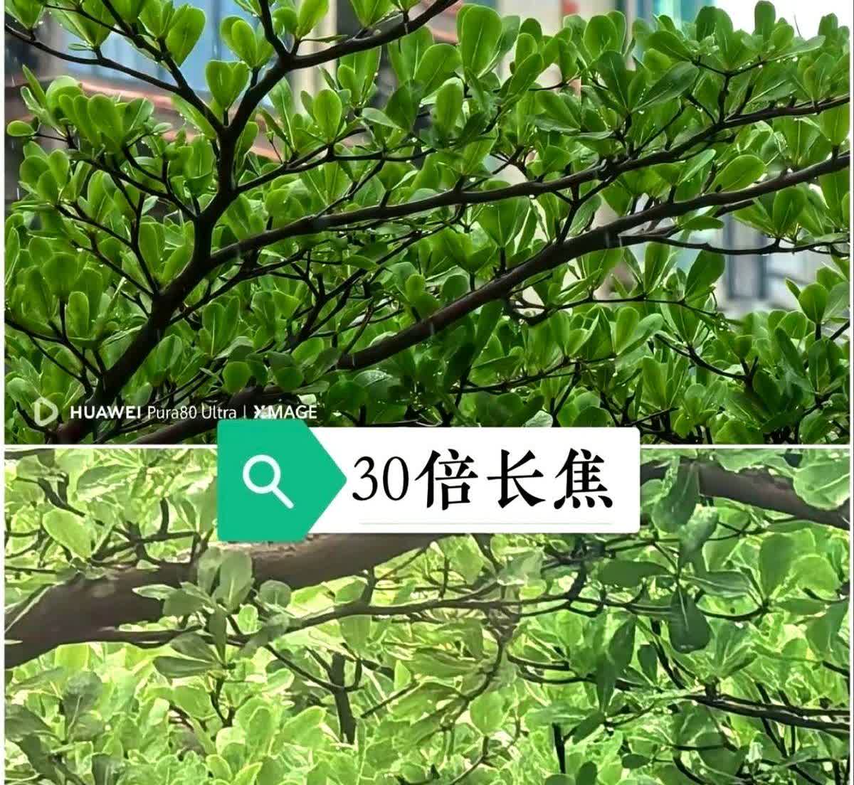 Pura80Ultra的长焦提升非常明显

对比Pura70 Ultra长焦