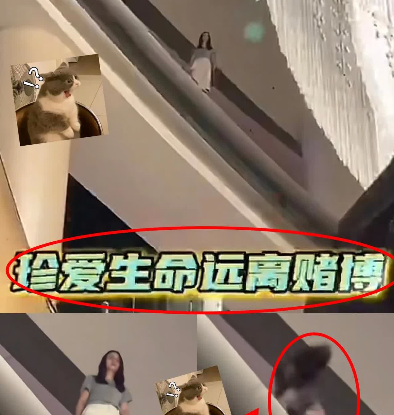 赌博害死人！

28岁女子在澳门金沙赢了20多万，结果后面把68万积蓄全输光
