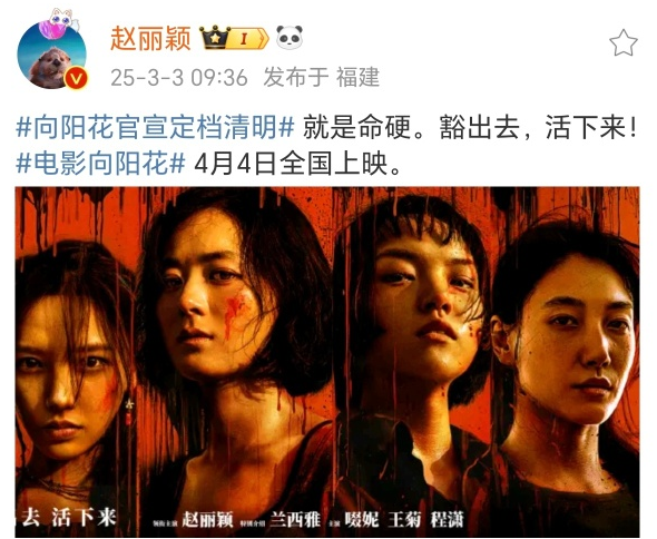 赵丽颖与黄晓明联手打造励志剧《造城者》，期待重塑荧屏形象