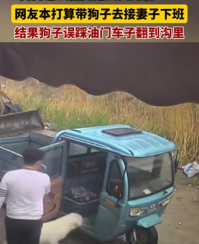 狗怎么能闯这么大的祸？4月21日，山东聊城，一男子准备去接妻子下班，没想到，狗子