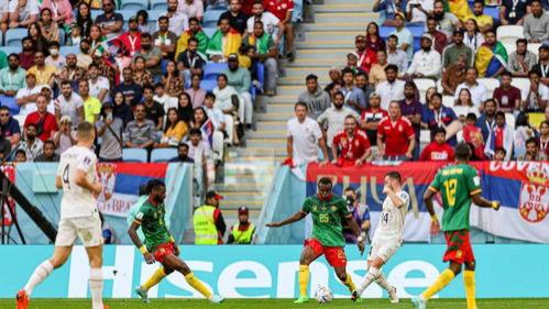 2025非洲杯中非德比前瞻：雄狮咆哮，黑豹潜行