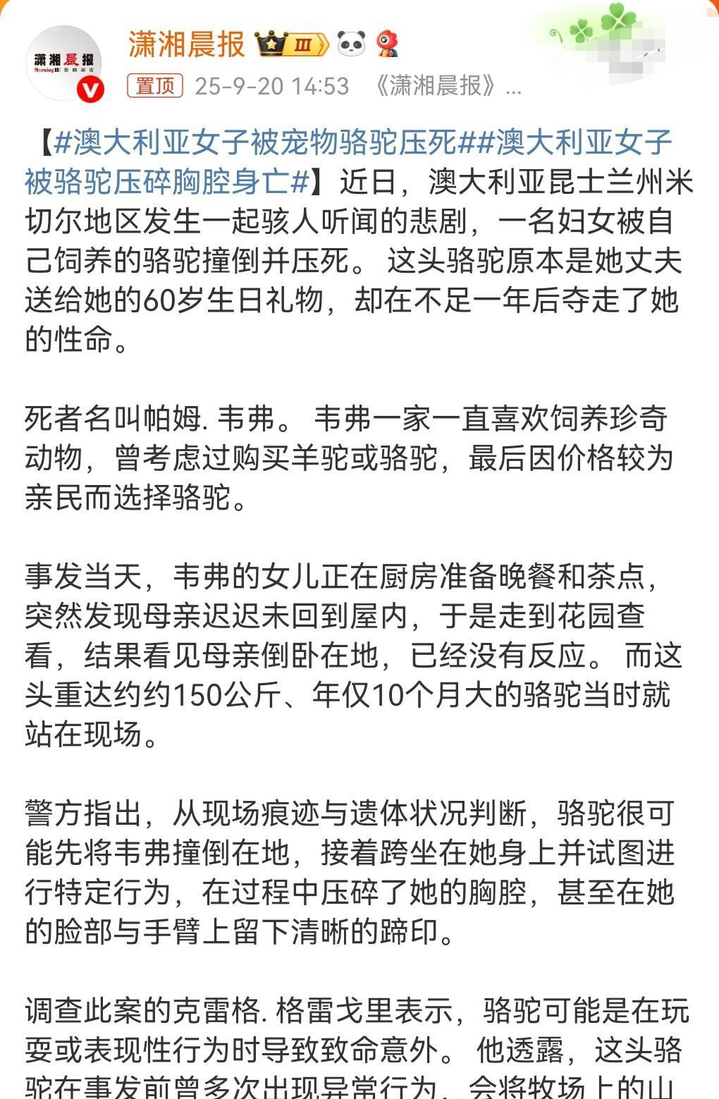这也太骇人听闻了吧。
近日，澳大利亚女子被宠物骆驼压死，这只骆驼是丈夫送给她的6