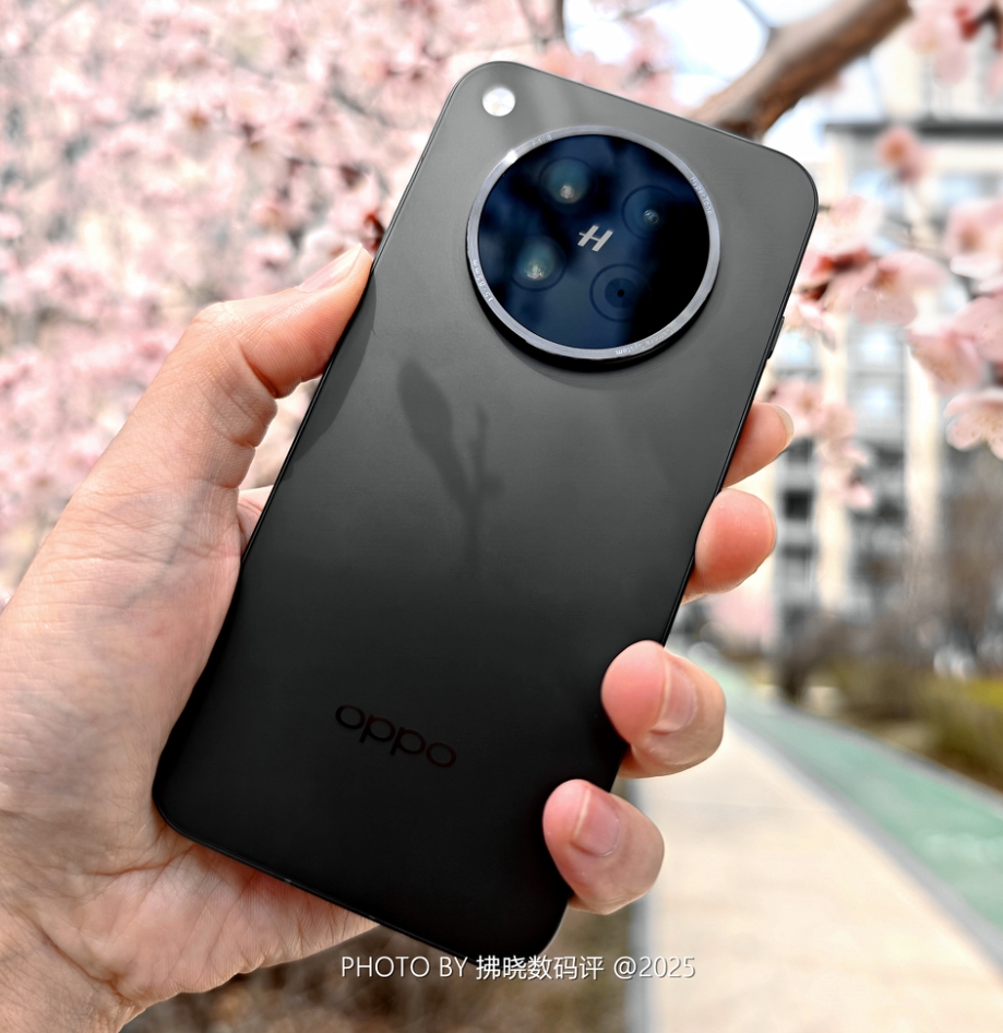 「拂晓随拍」OPPO Find X8s：晚春 桃花。