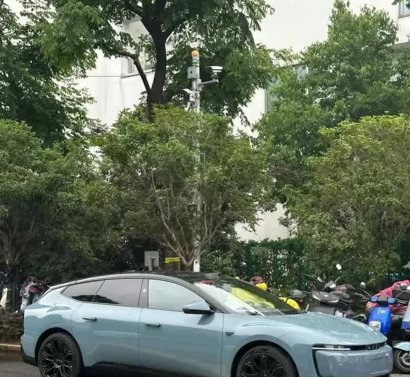 网友：奥迪E5，连车标都换了，这不纯纯杂牌车了吗？