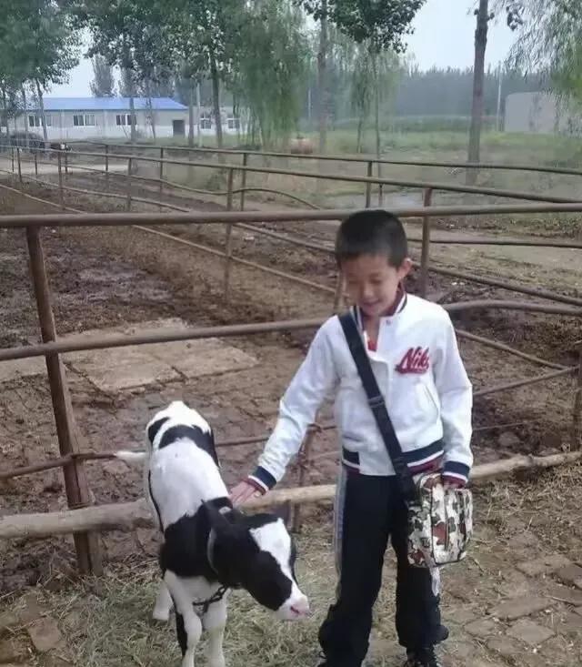 他比较依赖一个固定的东西，在球板上来说更是，他喜欢循规蹈矩，他比较习惯于自己认定