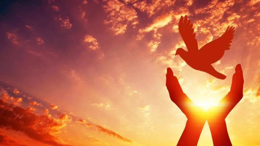 银行“清欠专项贷款”提速扩面，重点惠及三类群体：地方国企、事业单位、地方融资平台