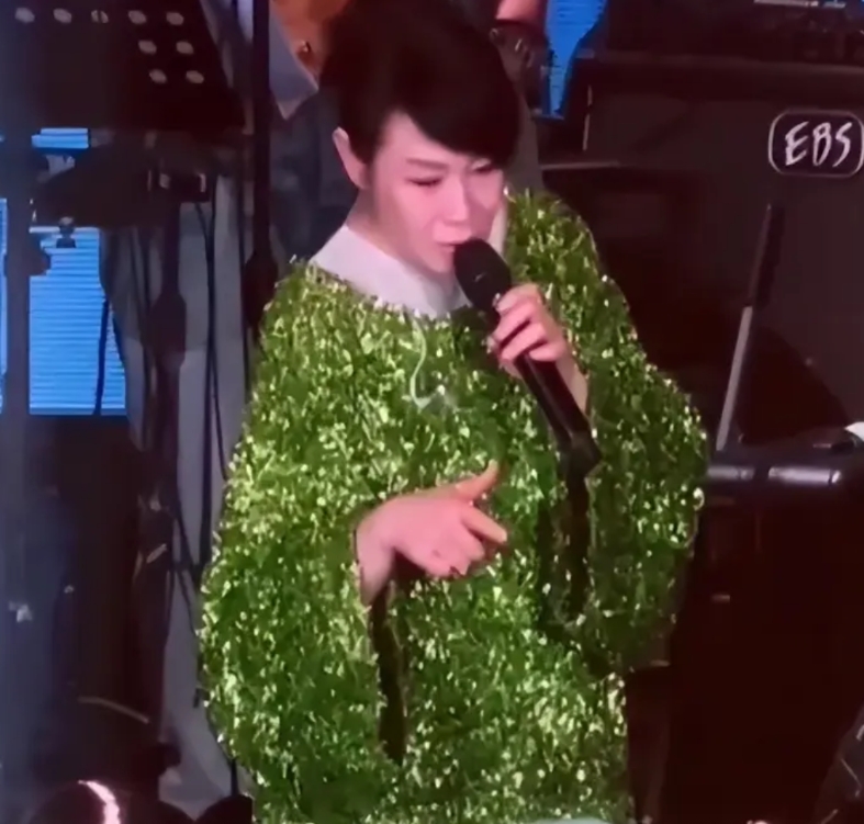 关于刘若英，
我特地去查了查，
没想到，
她最近在汕头演唱会上遇到一对姐妹点歌。