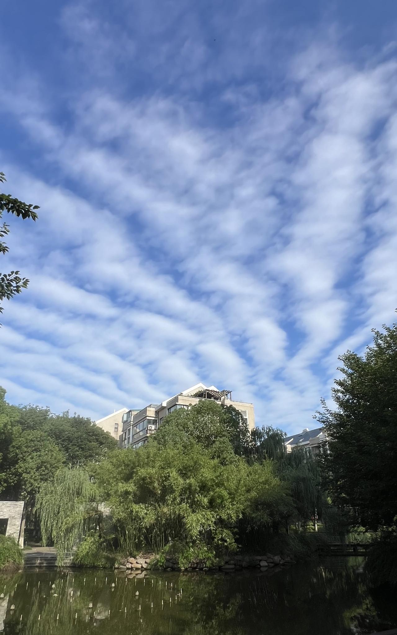 我决定清掉所有社会团体兼职。
昨天上午收到了原单位同事的一条微信，让我核对一下现