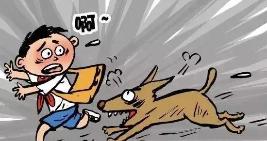 不要让一个宠物扰乱社会。
近期关于“狗不栓绳”的事件越来越多，夏天到了，屋里热，