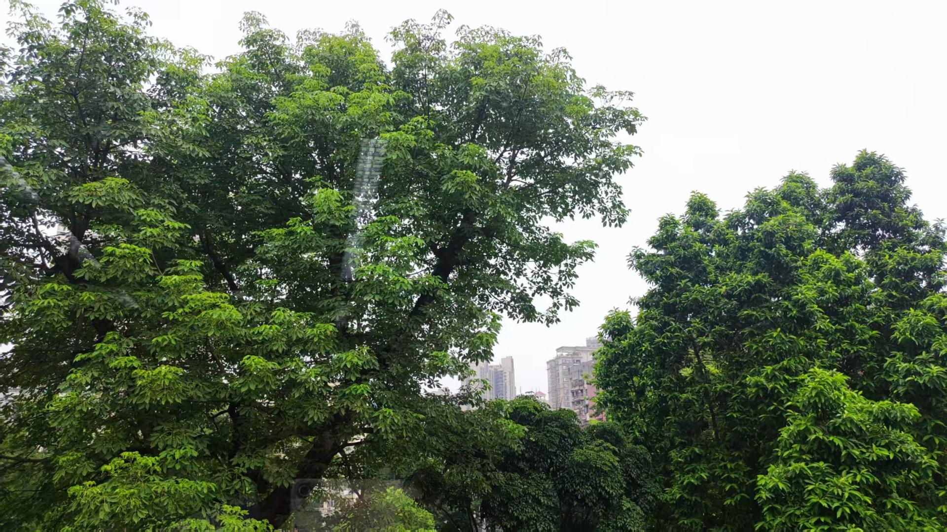 TikTok小店之路，纯小白老板如何开局？