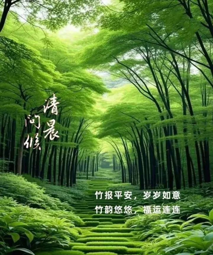 《竹间晨韵》
翠影连天际，幽林入画深。
竹风传吉语，晨韵沁人心。
岁岁平安意，悠