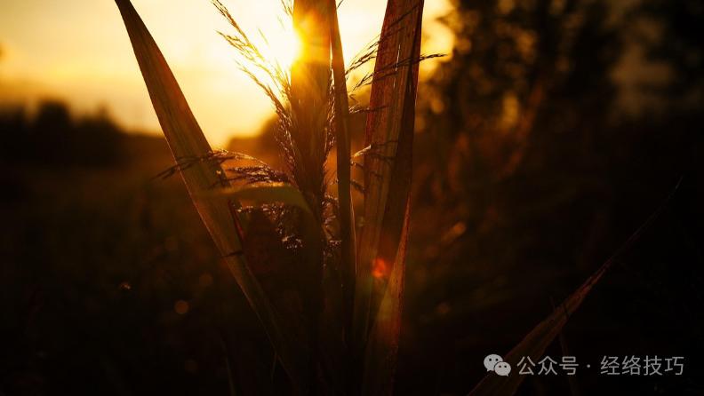 进入二九，这5类人要防“燥”！常做这个动作，每天5分钟，补津液不伤身！