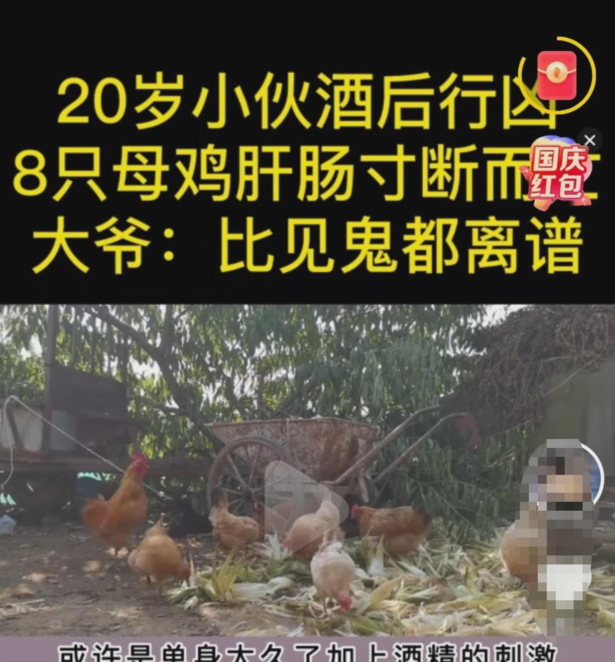 “这可是开了眼了！”山东济南，独居老人王大爷养了8只母鸡，留着下蛋，他觉得自家鸡