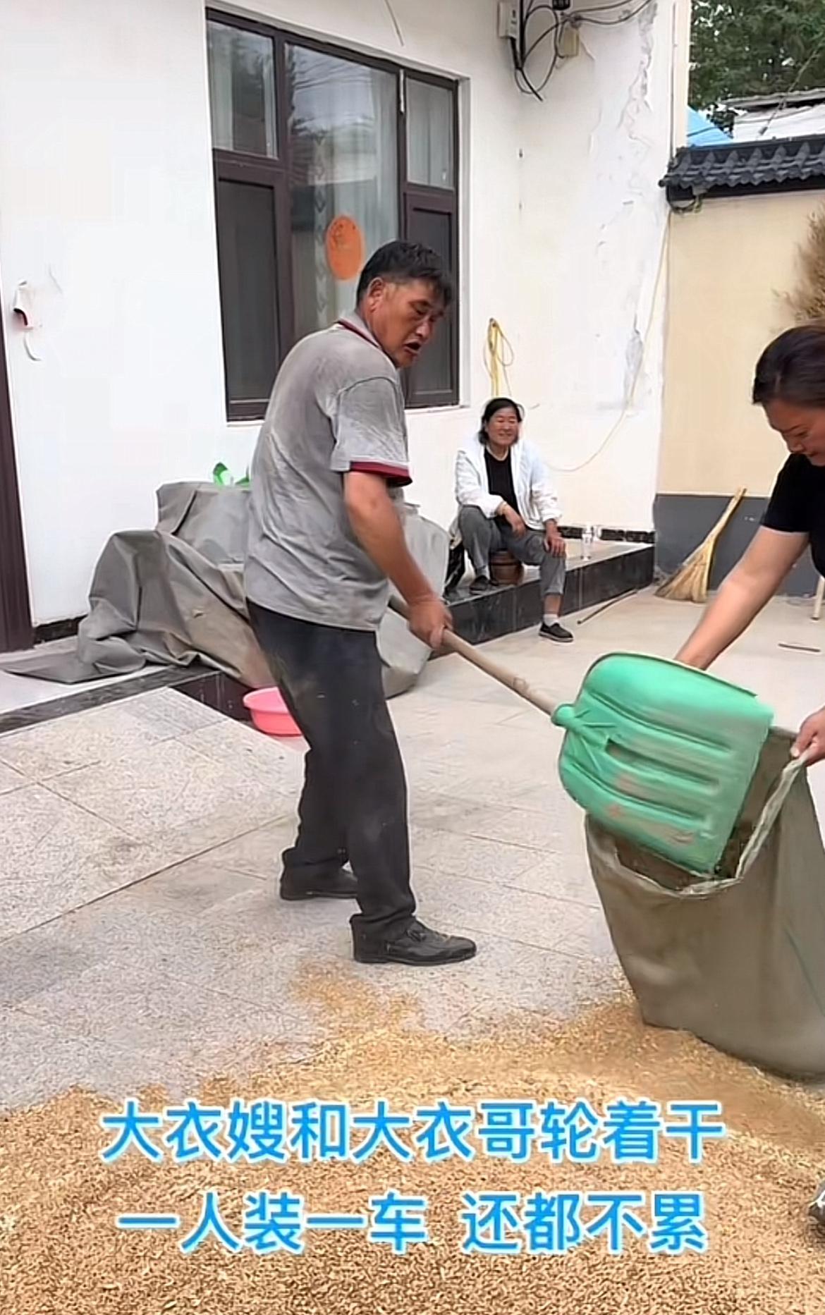 大衣哥亲自装粮食，今天请了一员女将，大衣婶淡定坐看。大家哥何苦了，小伟那么大了，