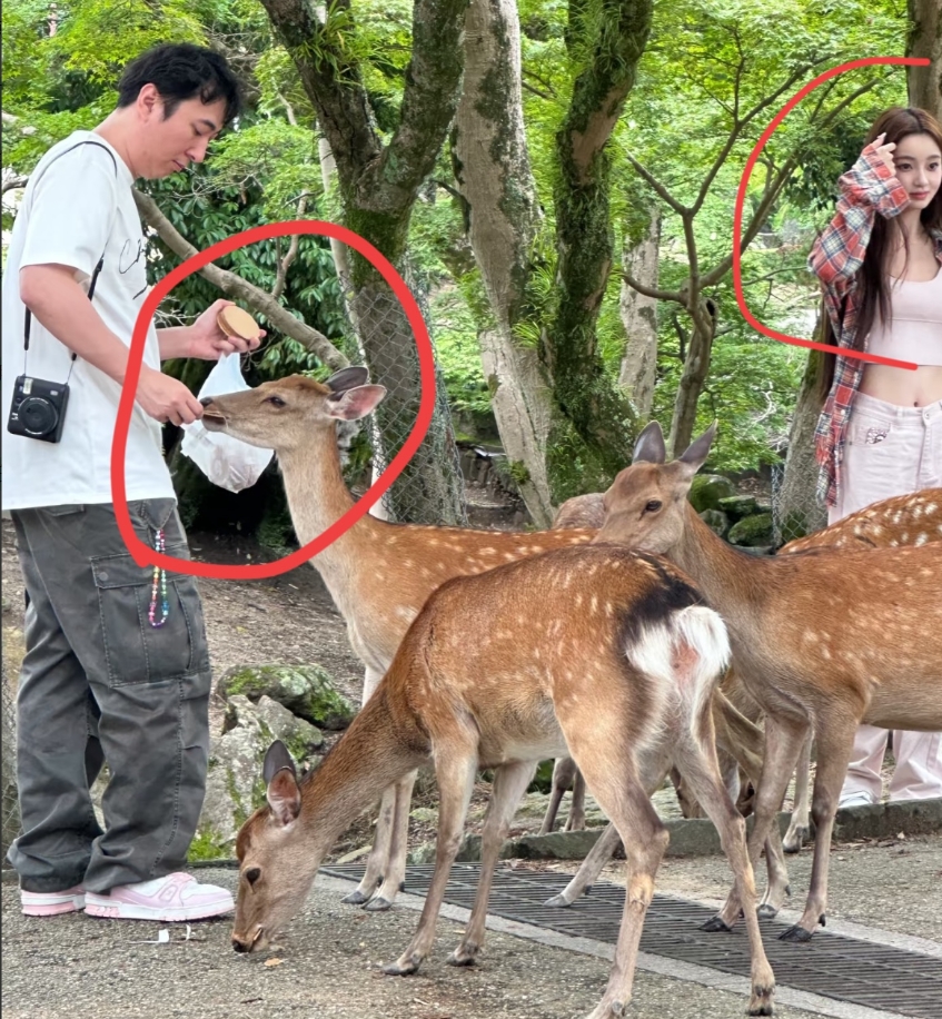 我有一种预感，

王健林的儿子可能要结婚了，

不是因为王健林不给零花钱了，而是