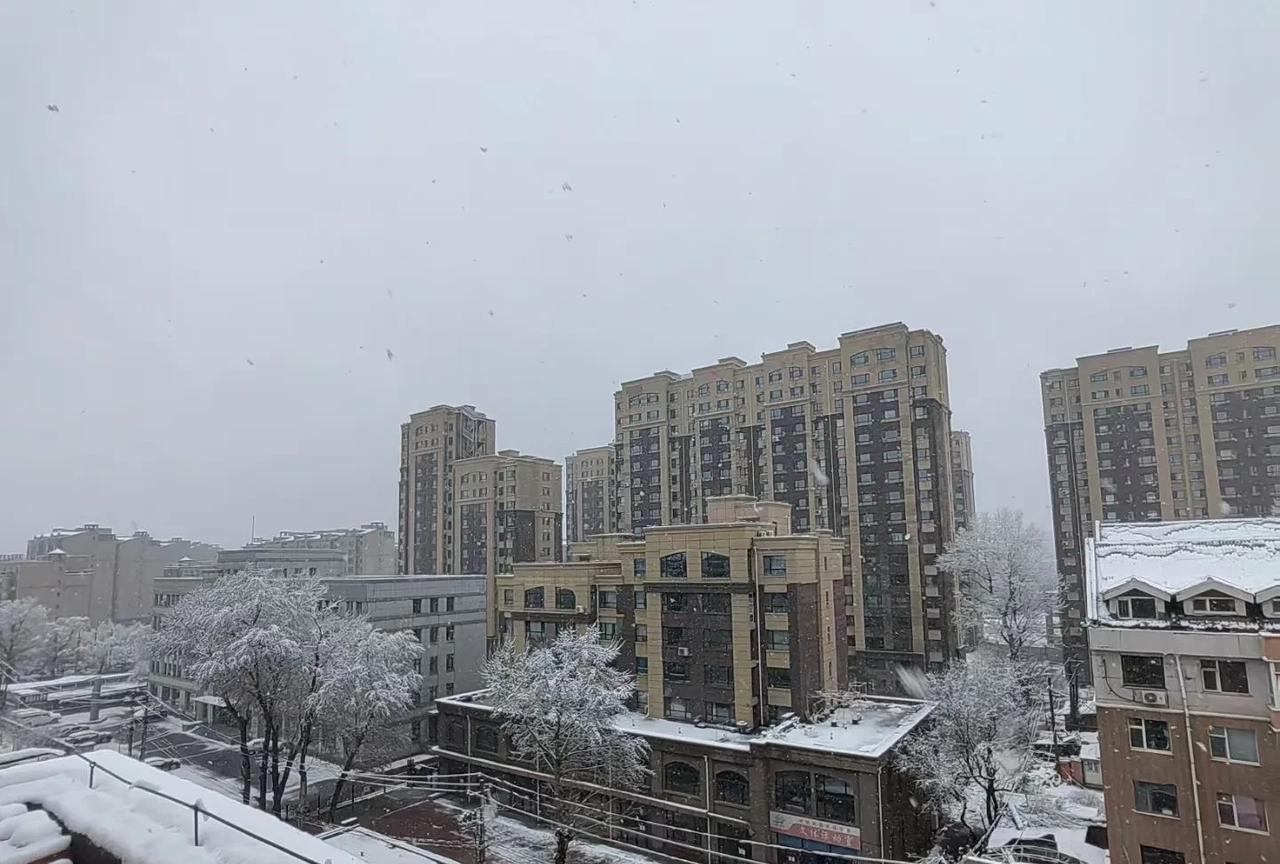 太离谱了，4月份下暴雪，给我冻醒了，已经在被窝瑟瑟发抖。