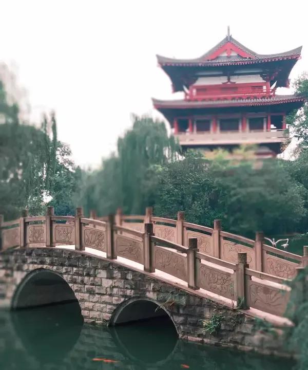 同事高老师，五十八岁了，教了一辈子历史课。或许是他老了的缘故吧，学生们根本不怕他