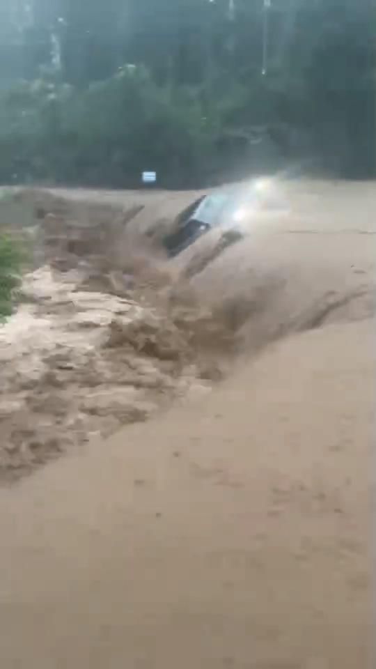 比亚迪正能量啊！给见义勇为车主送新车，这波必须得点赞了

前几天，保定那不是特大