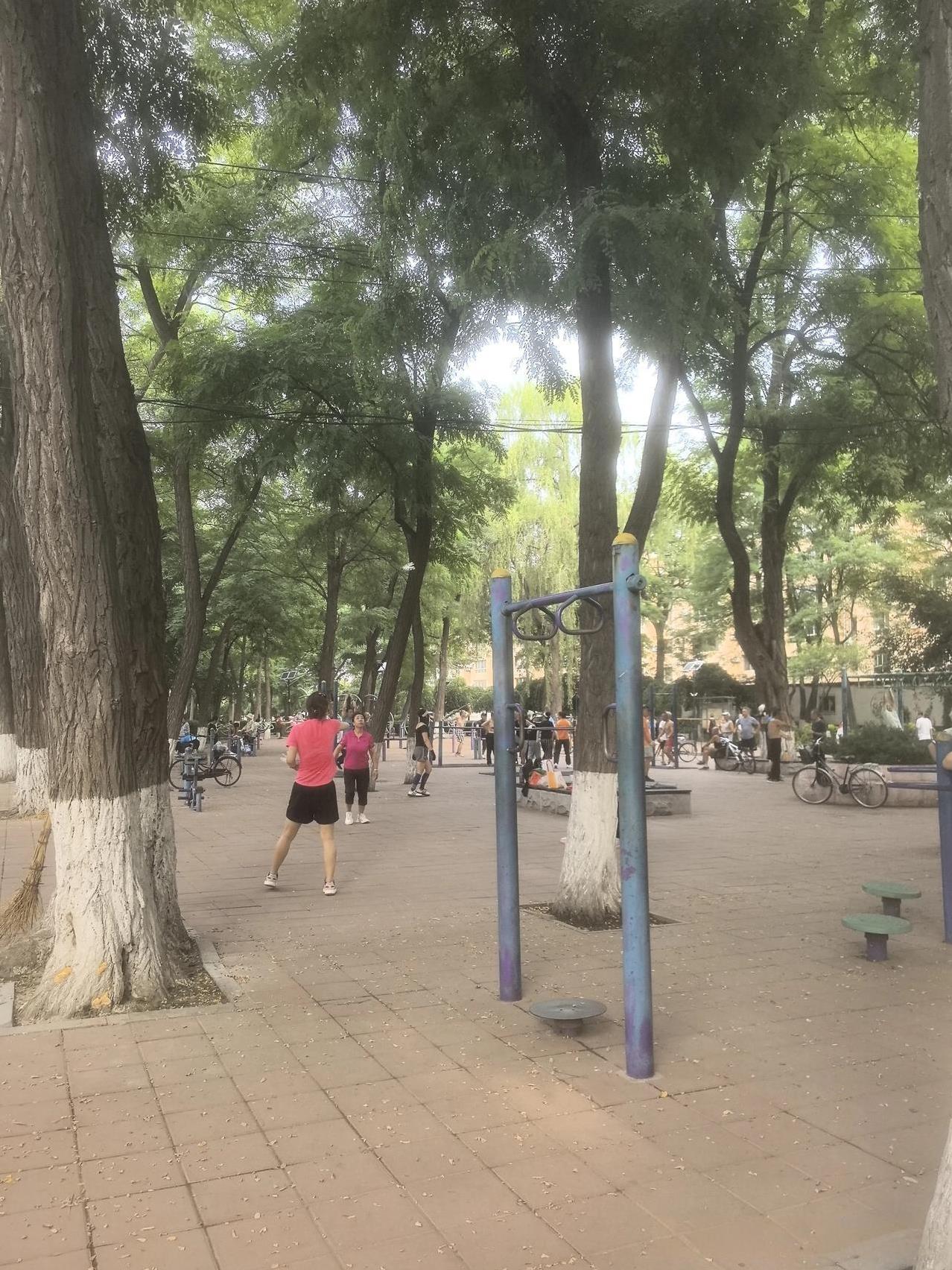 公园里晨练的人们