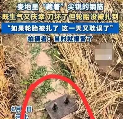 河北女子割麦子时，竟然发现麦田里埋着数根带着尖刺的钢筋。每两个短粗的钢筋被焊接在