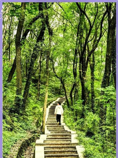 珞喻之争，喻家完胜。
武汉有两座名山，一座叫喻家山，一座是珞珈山。喻家山下有华科