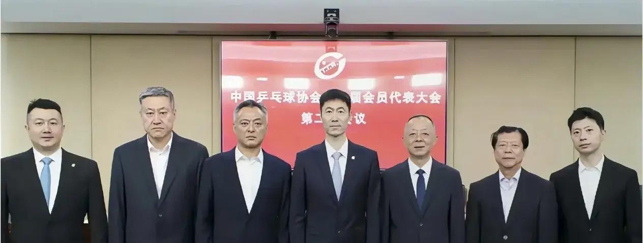 王励勤任中国乒乓球协会主席，高元义任中国乒乓球协会副主席，同时还是国家体育总局乒