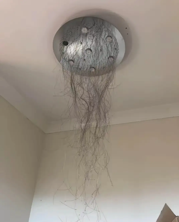 我想掐死这个电工的小工