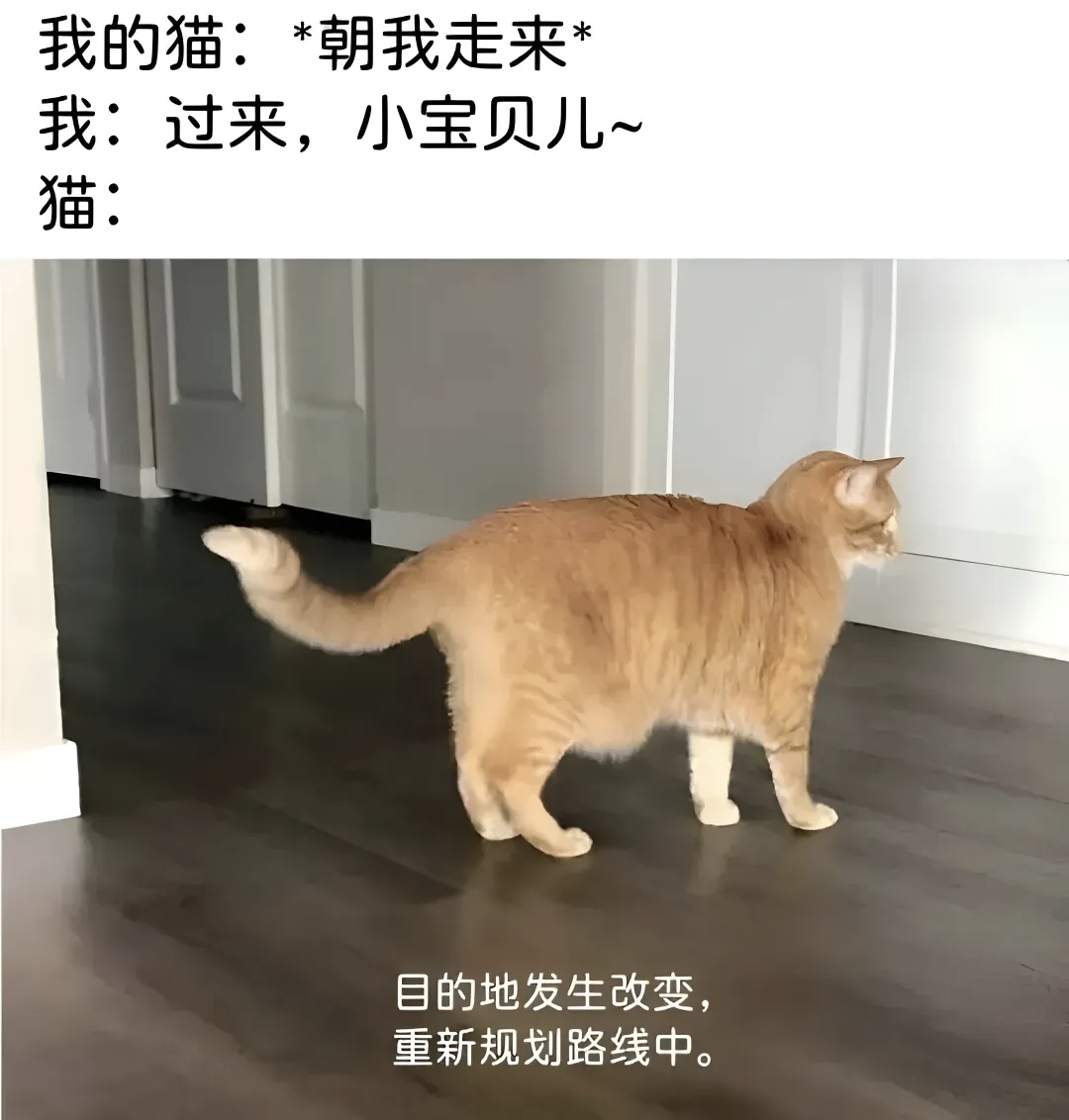 目的地发生改变，重新规划路线中