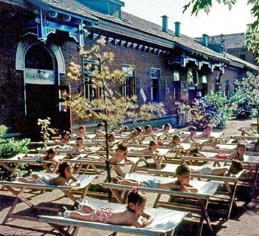这是1959年沈阳工人新村幼儿园的娃娃们穿着裤衩躺在院子里各自的小床上享受日光浴