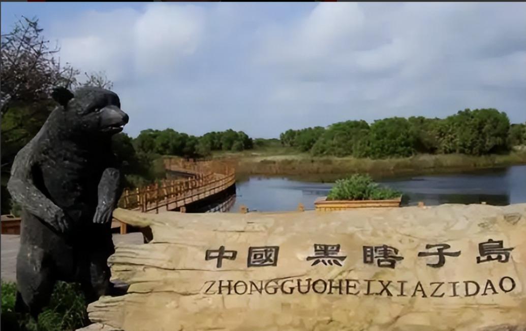 俄罗斯归还中国土地这事儿，得从历史的 “老账本” 说起。新中国成立后，咱们就一直