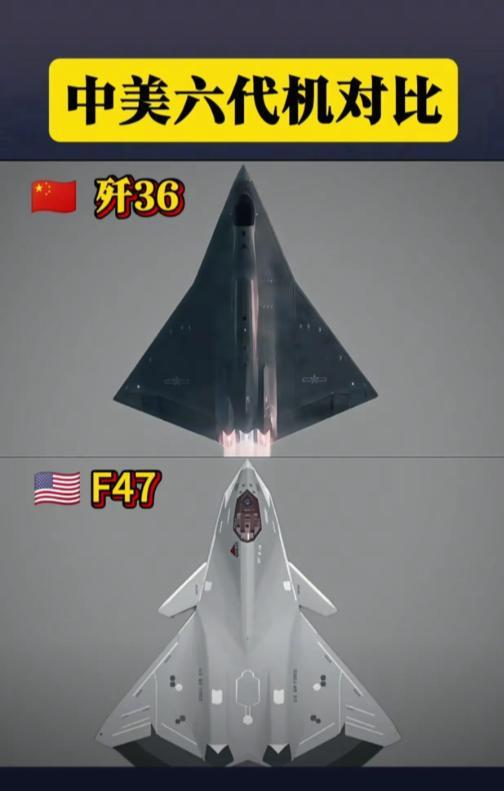 兔子和老美果然都活成了自己曾经最讨厌的样子，比如老美此前言必称“鸭翼是落后的代表
