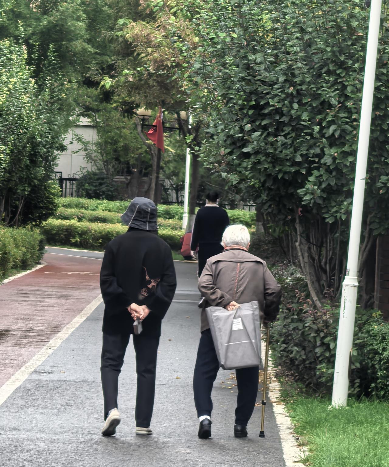 小区里，大街上经常看到蹒跚着走路的老人，青春靓丽的小姑娘穿着和季节不符的衣服。