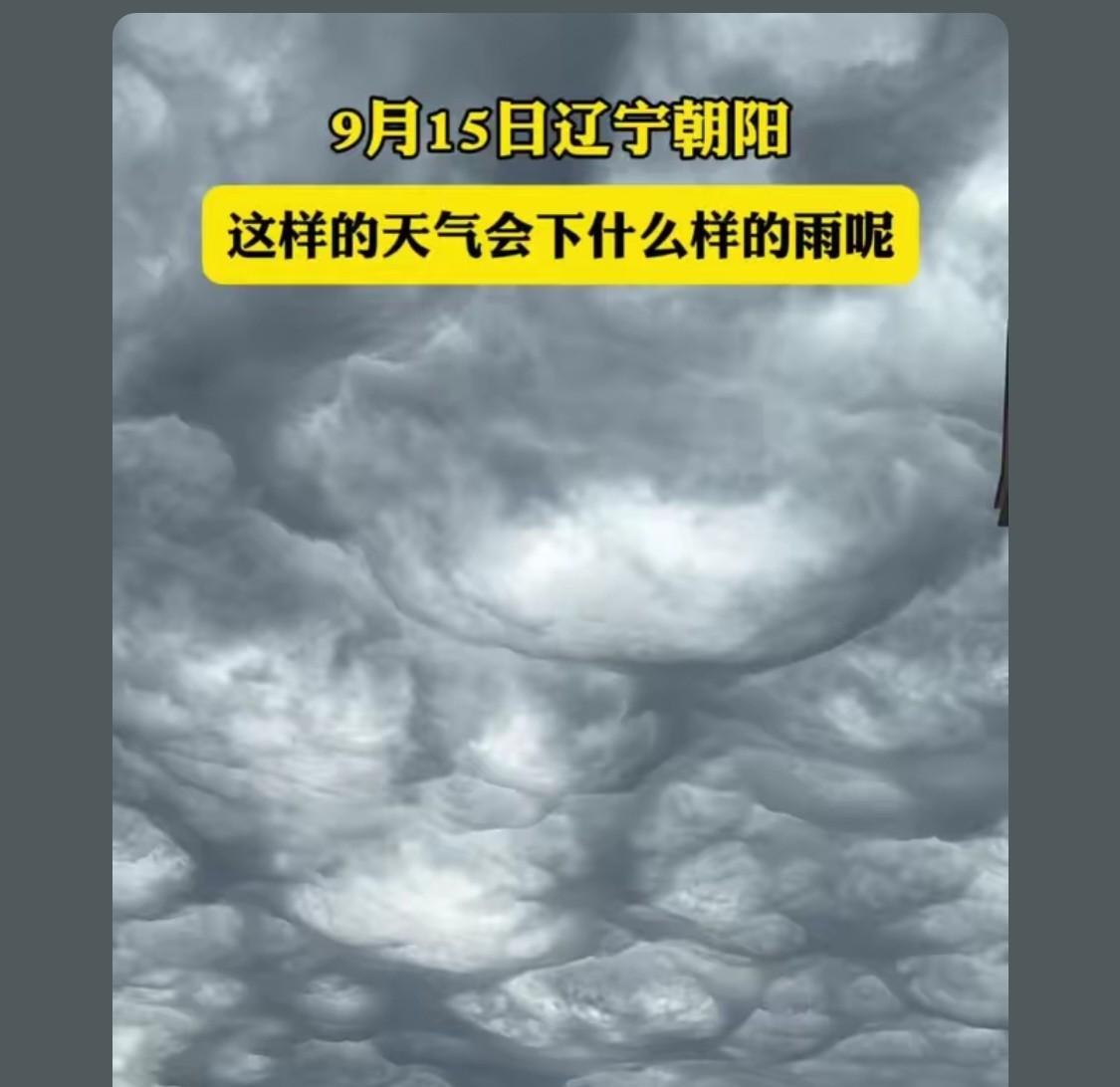 昨天朝阳的云彻底出圈了，第一次知道这种云叫糙面云。反正是这种云伴随着大雨，秋收工