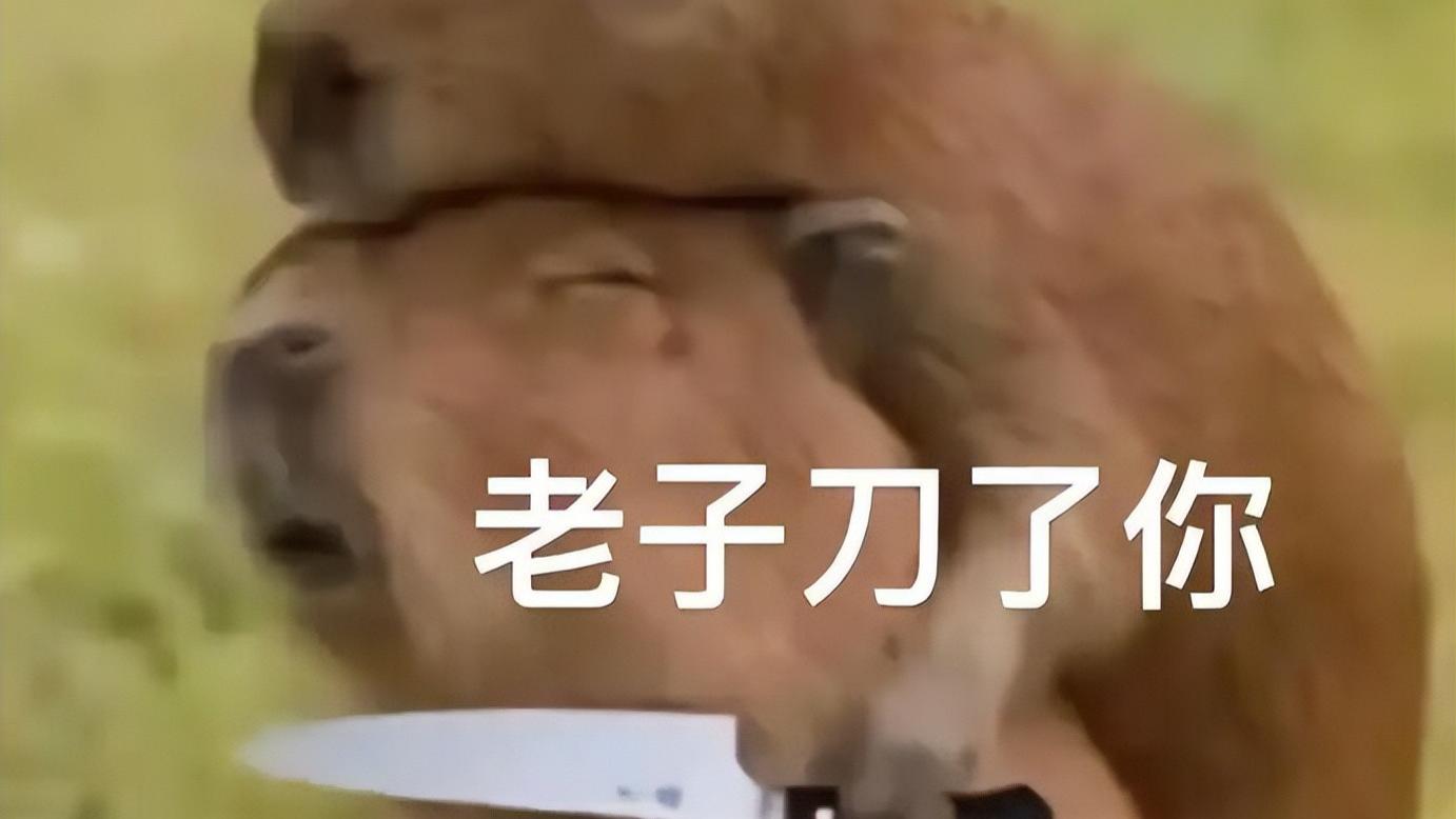 没有搏命特技，没有好莱坞特效，《捕风追影》靠什么征服观众？