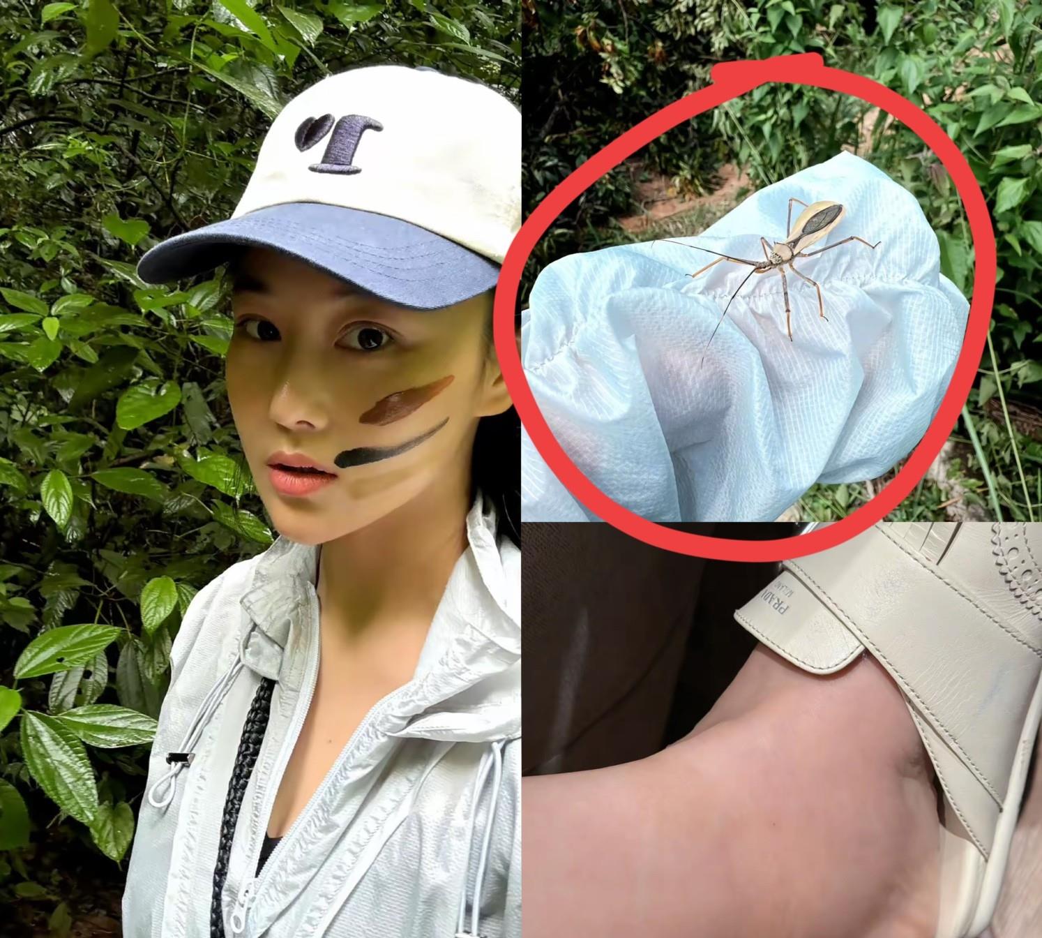 张馨予这趟云南之旅
彻底打脸了！
可真是计划赶不上变化！

本来以为会是和老