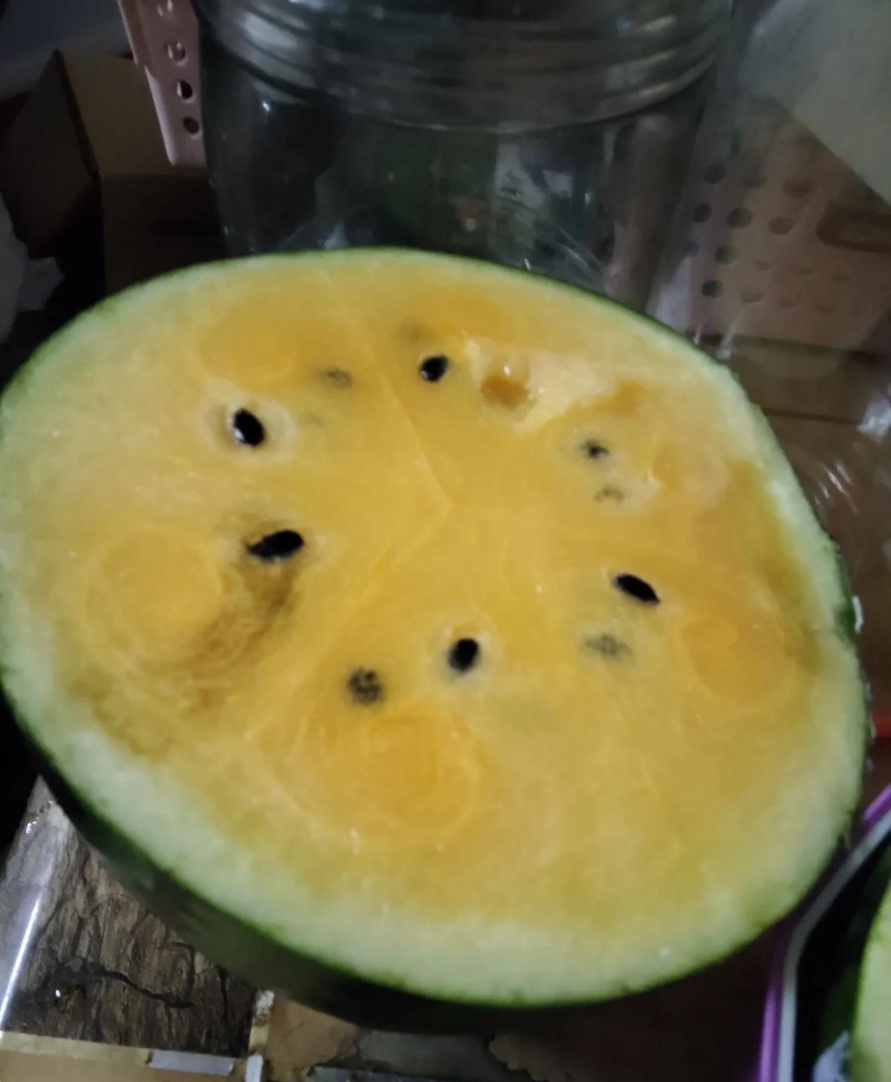 #分享城市新鲜事#
