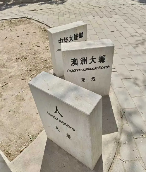 最不濒危的三个物种
长知识了💪
