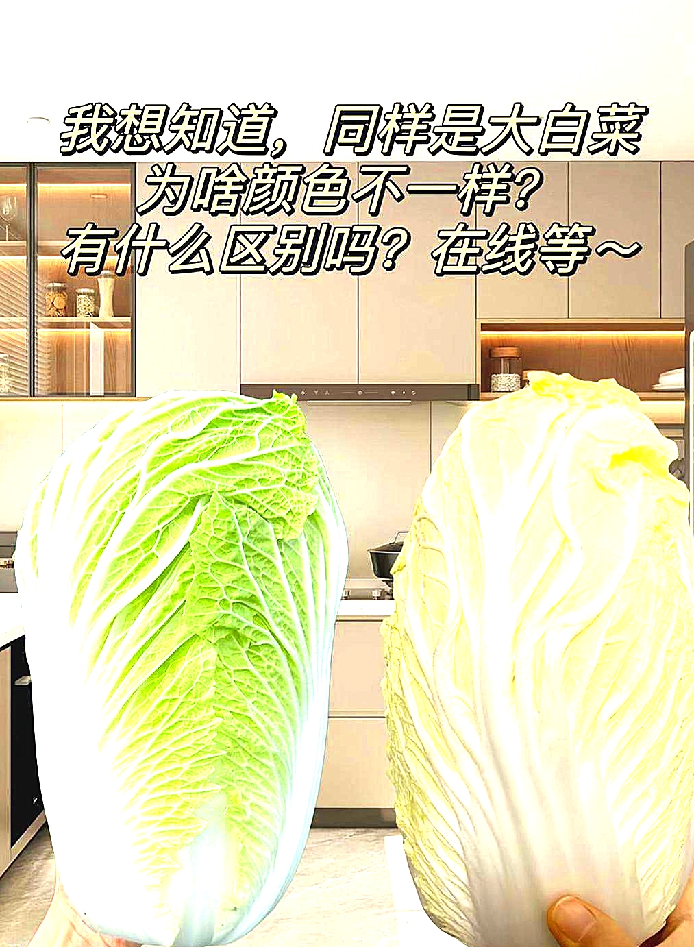 有知道的吗